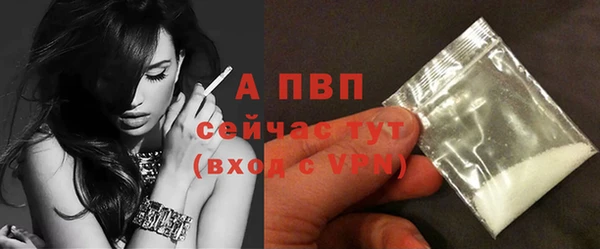 мдпв Горно-Алтайск