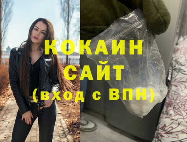 прущие грибы Вязники