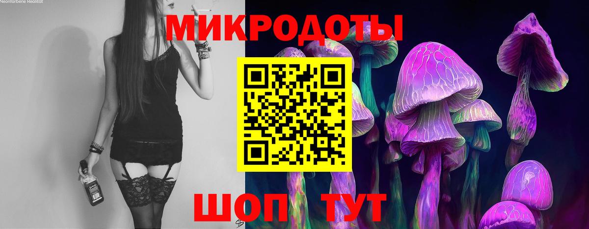 Псилоцибиновые грибы Psilocybine cubensis Москва
